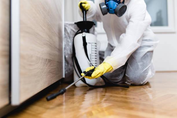 Best Affordable Pest Control Services  in Rockwell Place, TX