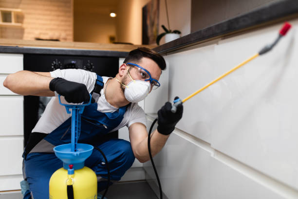 Pest Control Cost in Rockwell Place, TX