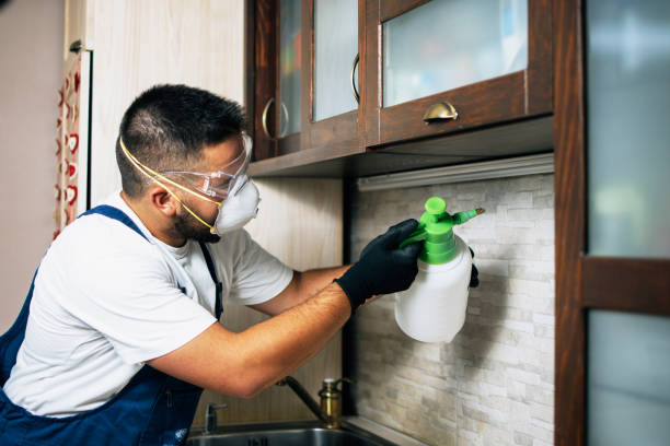 Best Pest Prevention Services  in Rockwell Place, TX