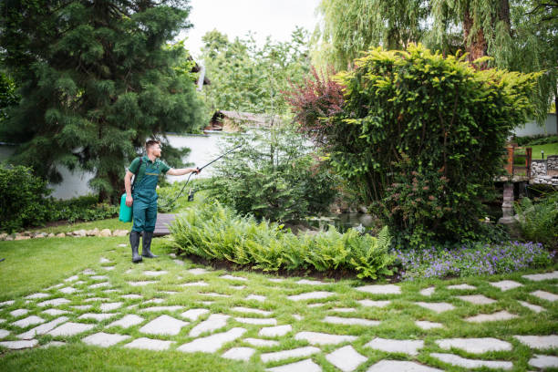 Professional Pest Control in Rockwell Place, TX