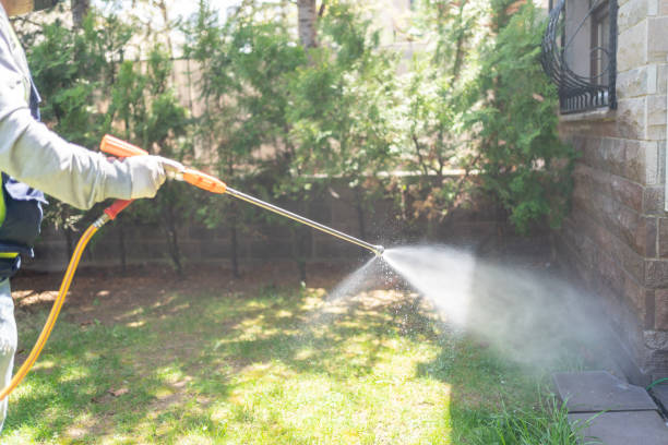 Wildlife Control Services in Rockwell Place, TX