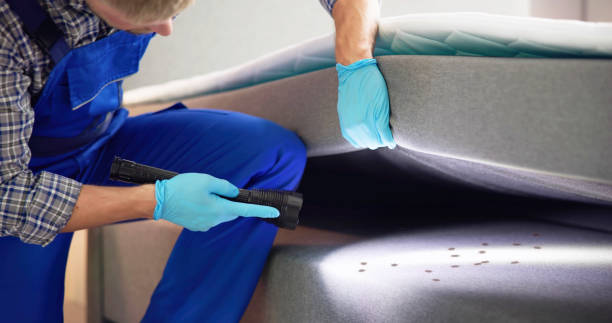 Flea Control Services in Rockwell Place, TX