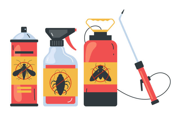 Best Ant Control Services  in Rockwell Place, TX