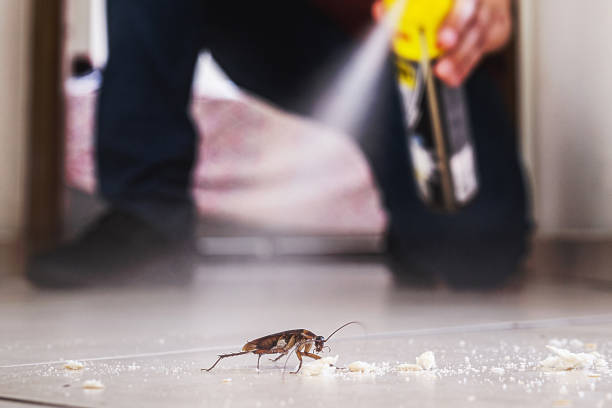 Best Commercial Pest Control Services  in Rockwell Place, TX