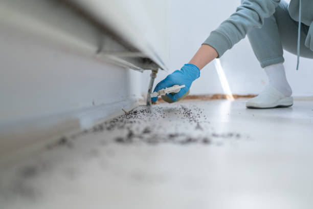 Best Commercial Pest Control Services  in Rockwell Place, TX